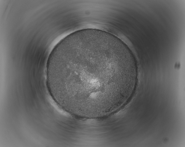 X0000111051028200906251428