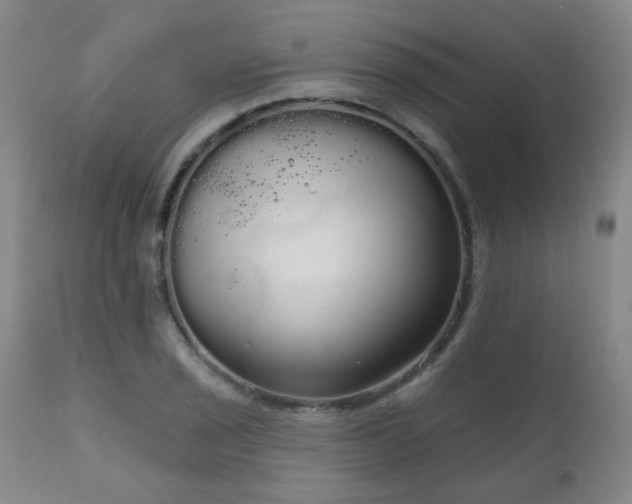 X0000111051029200906251428