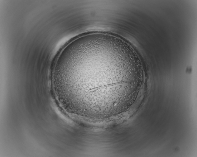 X0000111051030200906251428