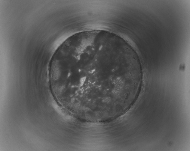 X0000111051031200906251428