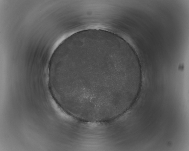X0000111051032200906251428