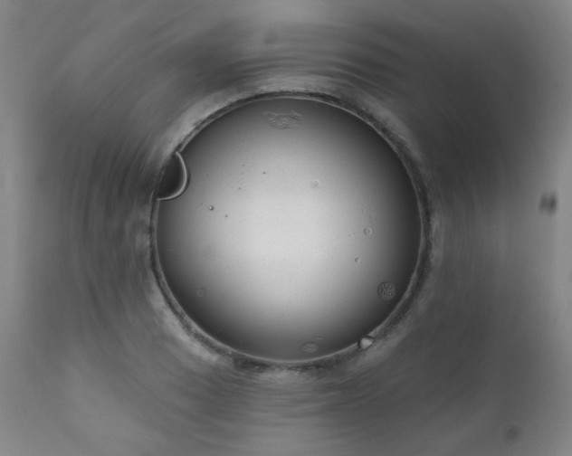 X0000111051033200906251428