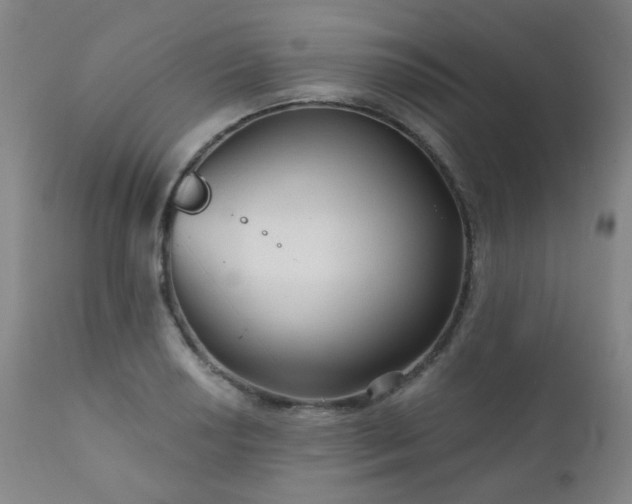 X0000111051034200906251428