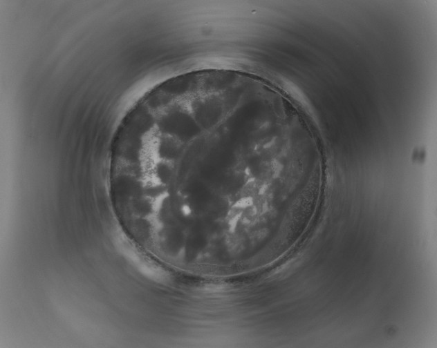X0000111051035200906251428