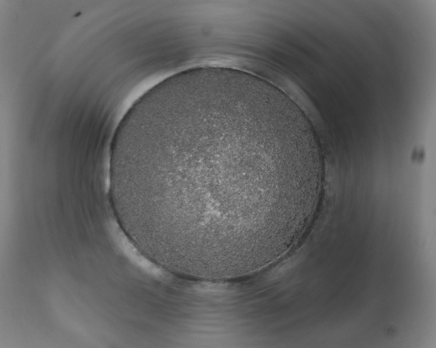 X0000111051036200906251428