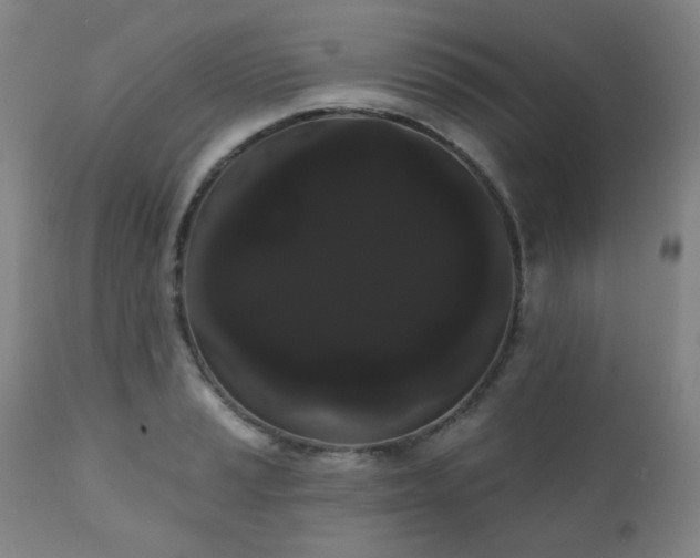 X0000111051037200906251428