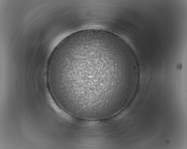 X0000111051038200906251428