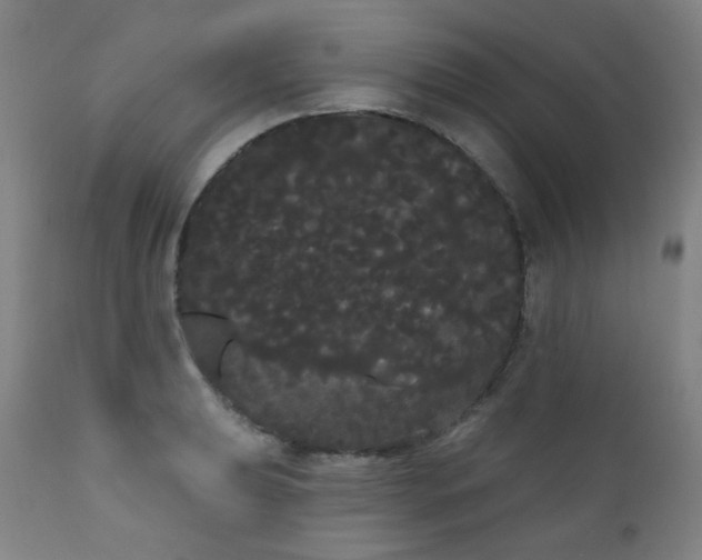X0000111051039200906251428