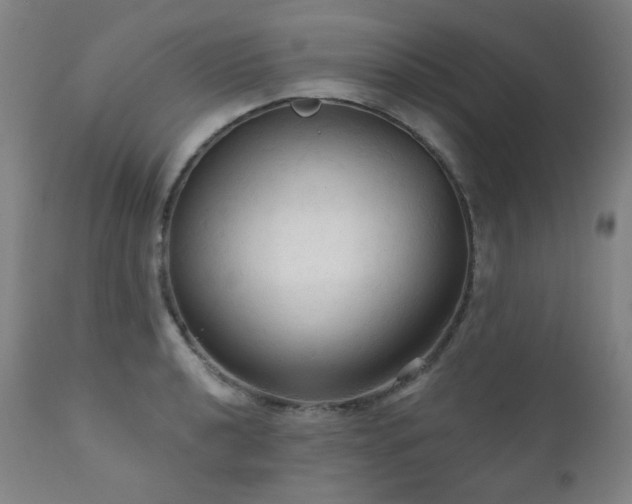 X0000111051040200906251428