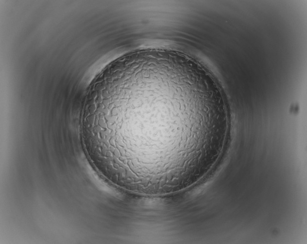 X0000111051041200906251428