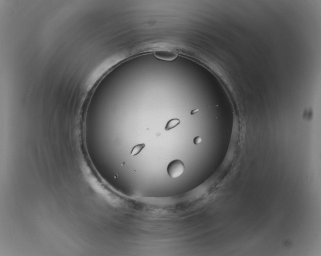 X0000111051042200906251428