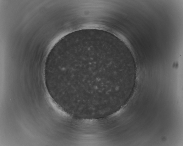 X0000111051043200906251428