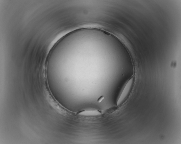 X0000111051044200906251428