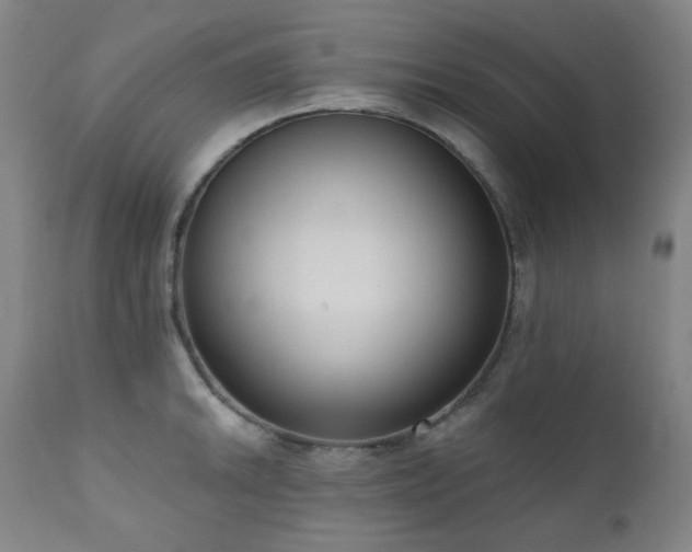 X0000111051046200906251428