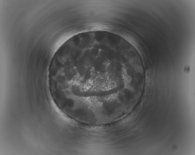 X0000111051047200906251428