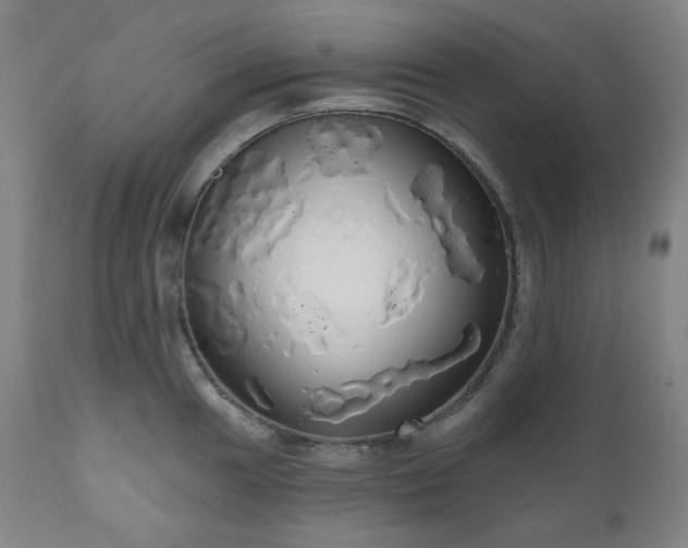 X0000111051049200906251428