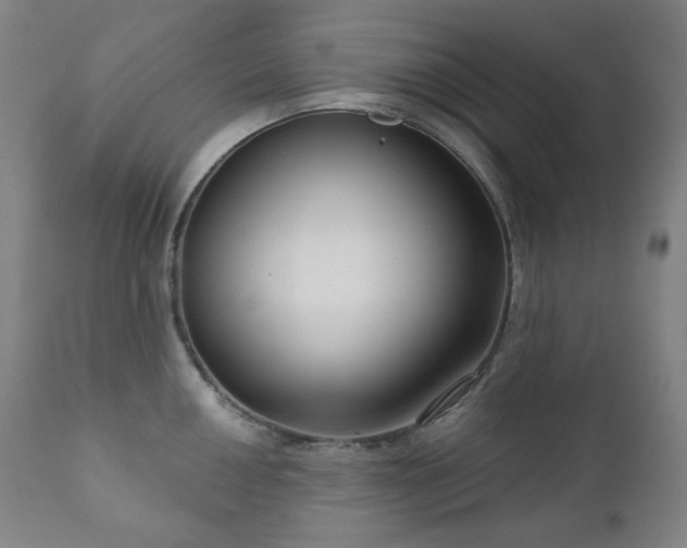 X0000111051050200906251428