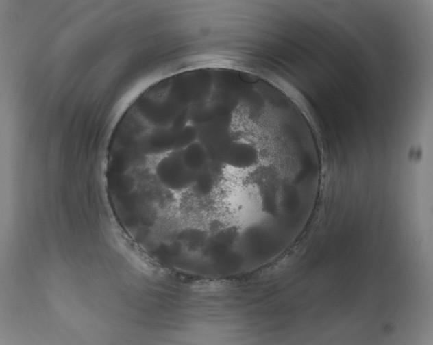 X0000111051051200906251428