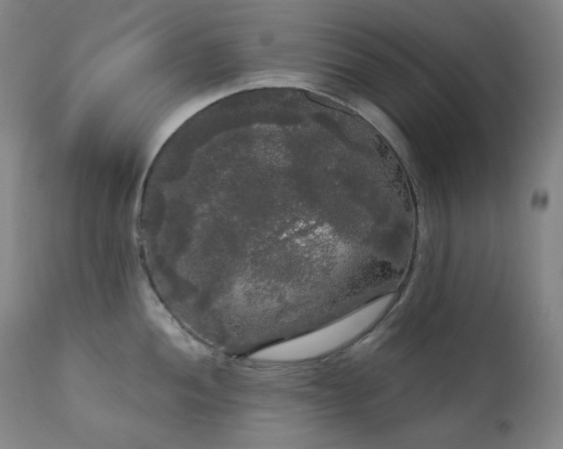 X0000111051052200906251428