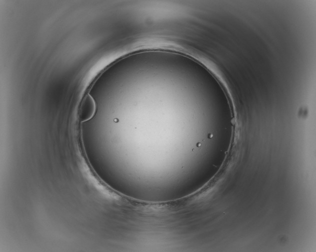 X0000111051053200906251428