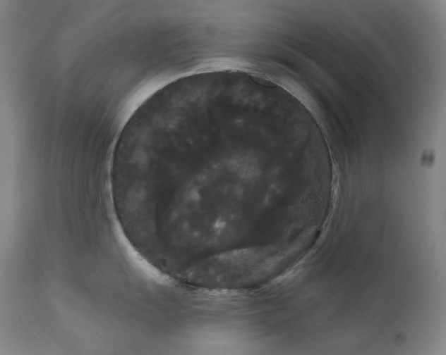 X0000111051055200906251428