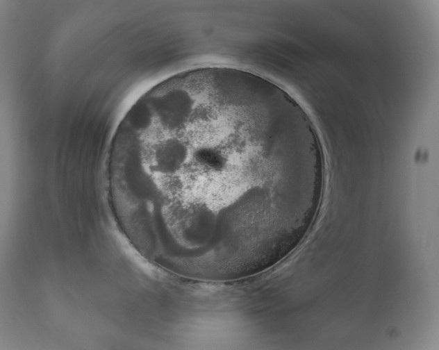 X0000111051056200906251428