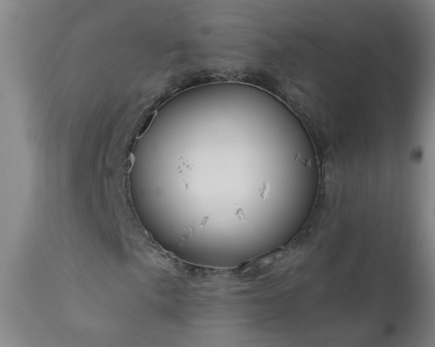 X0000111051057200906251428