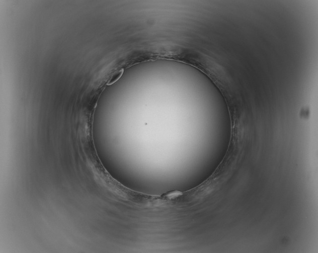 X0000111051058200906251428