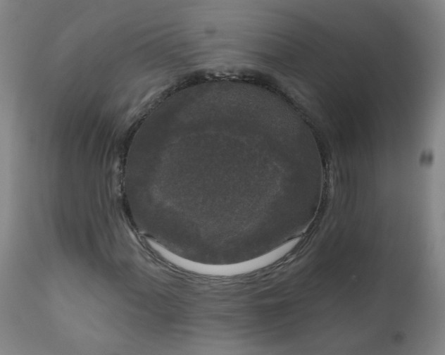 X0000111051060200906251428