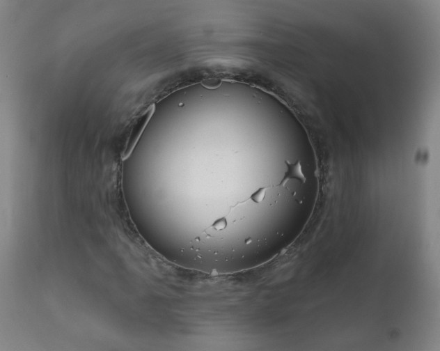 X0000111051061200906251428