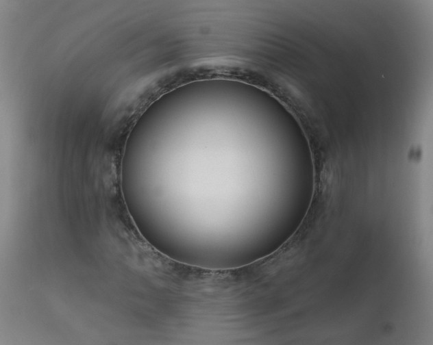 X0000111051062200906251428