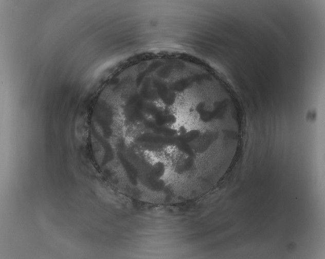 X0000111051063200906251428