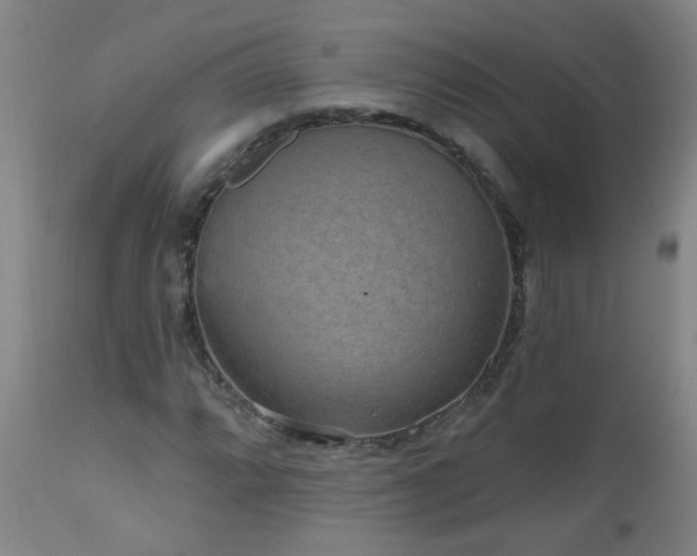 X0000111051064200906251428