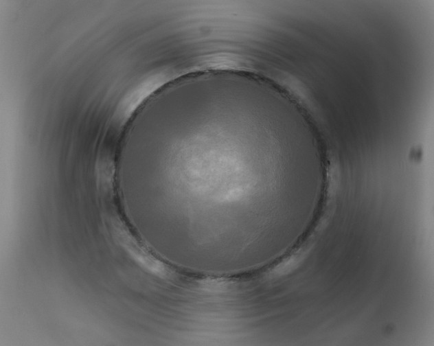 X0000111051065200906251428