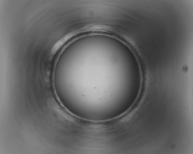 X0000111051066200906251428