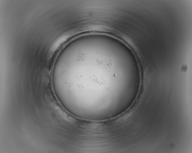 X0000111051067200906251428