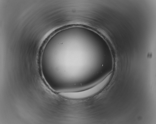 X0000111051068200906251428