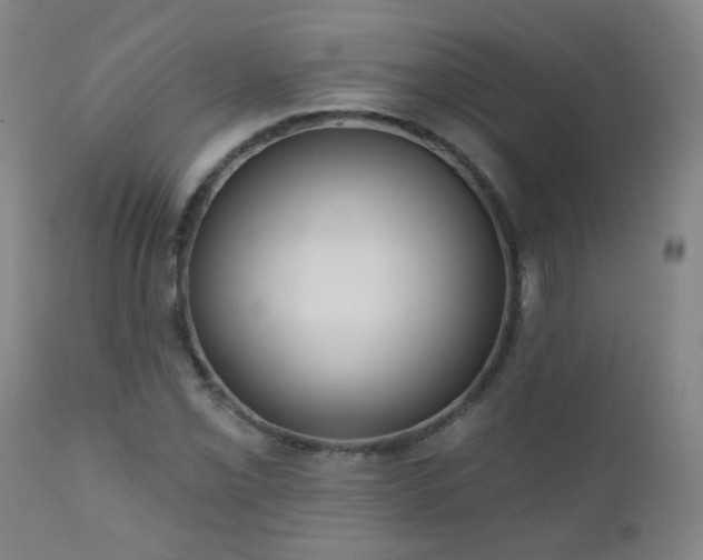 X0000111051069200906251428
