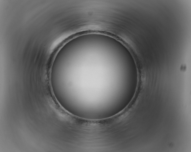 X0000111051070200906251428