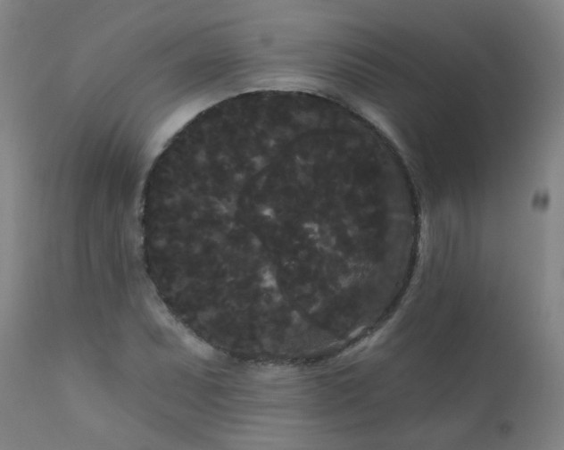 X0000111051071200906251428