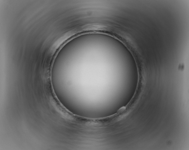 X0000111051073200906251428