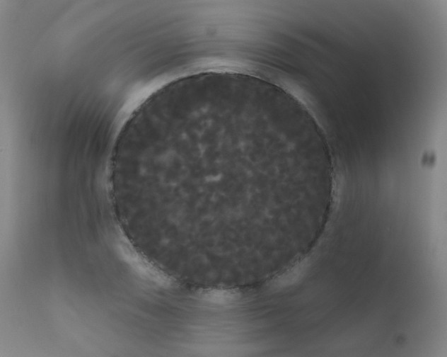 X0000111051074200906251428