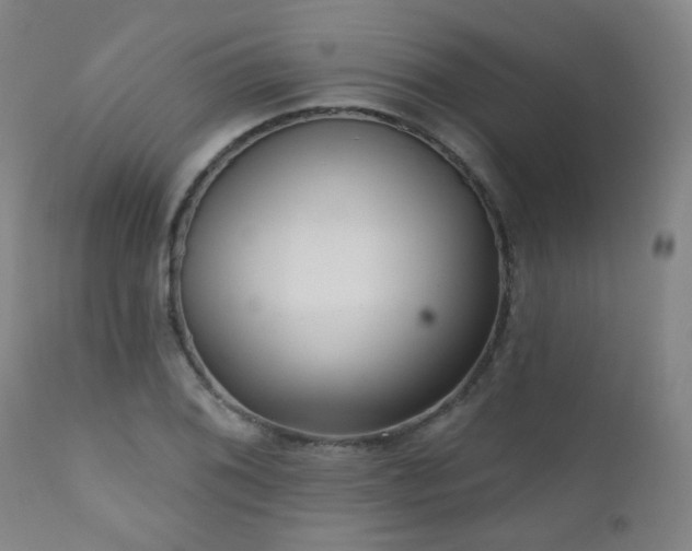 X0000111051076200906251427
