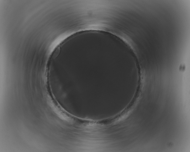 X0000111051077200906251427