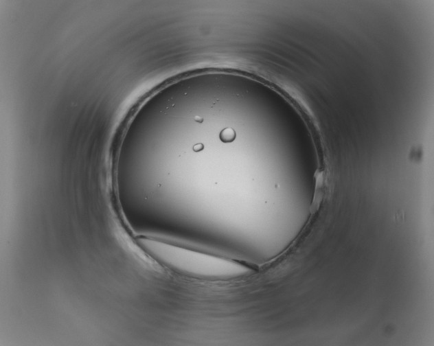 X0000111051080200906251427