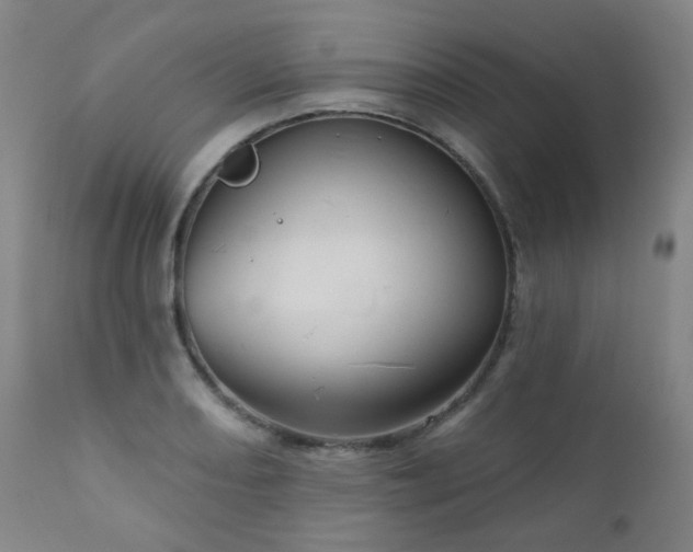 X0000111051082200906251427