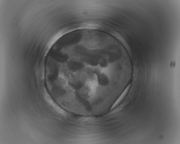 X0000111051083200906251427