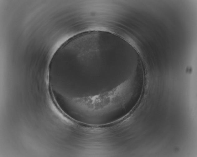 X0000111051084200906251427