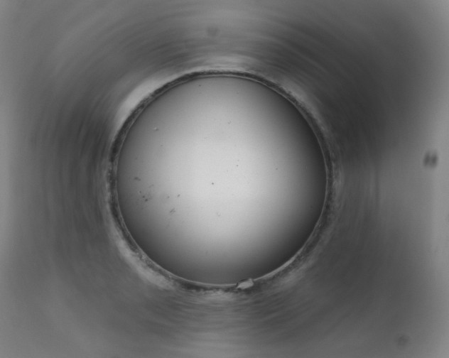 X0000111051085200906251427