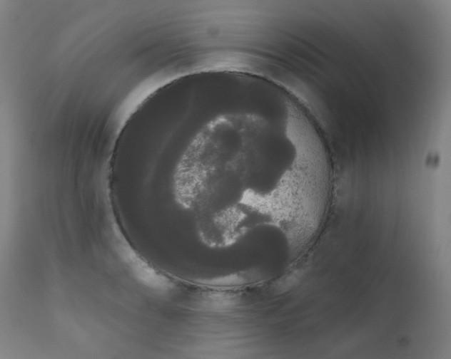 X0000111051086200906251427
